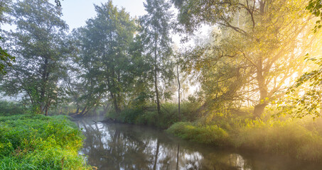 River with trees on either side