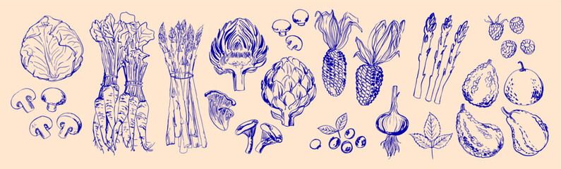 Hand Drawn line Vegetables – Sketch Style Vector Set	