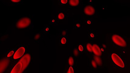 Animation of several red blood cells moving upwards  - Powered by Adobe