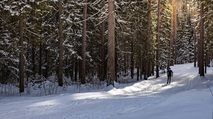 Person is skiing in the woods on a sunny day
