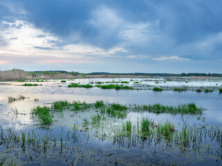 Large body of water with a cloudy sky in the background