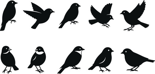 Collection of ten black bird silhouettes in various poses on white background vector