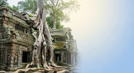Obraz premium Majestic Ta Prohm Temple Enshrouded by Ancient Trees in Siem Reap, Cambodia