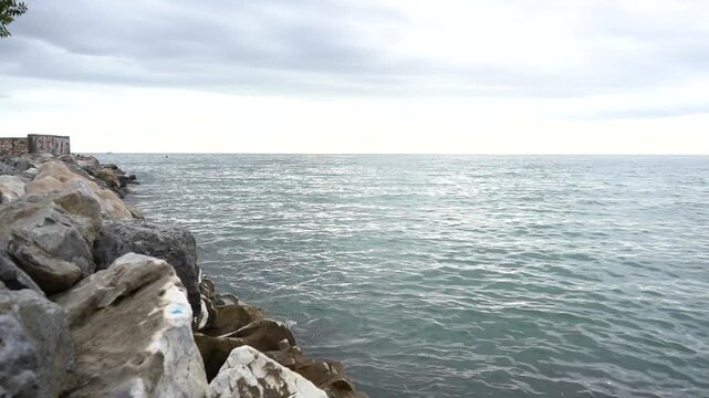 Olas 