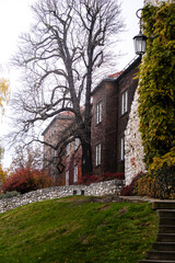 Old stone building with a large tree and steps in the autumn.