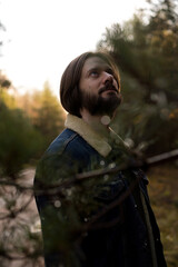 Man Looking Up at Pine Trees in Forest