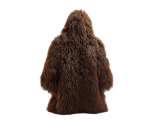 PNG of A fuzzy brown coat viewed from the back, exuding warmth and comfort, perfect for chilly days and cozy gatherings.