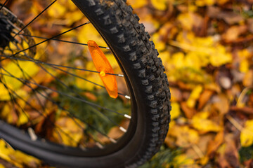 bicycle wheel in autumn park