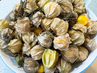 Fresh harvest of cape gooseberries in natural husk on white plate