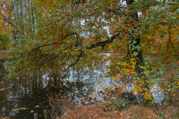 A serene lake scene in autumn with colorful trees reflected in the water. Nature's beauty is on full display in fall.