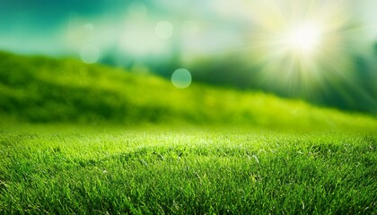 Naklejka premium Closeup Nature View With Free Space For Text Natural Green Background And Green Grassland