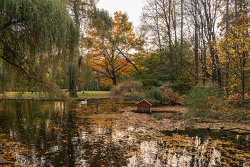 A tranquil autumn pond with a swan and a quaint duck house, trees with fall colors reflect on the water, peaceful scenery.
