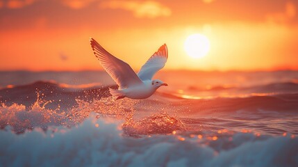 Seagull soars above sunrise waves