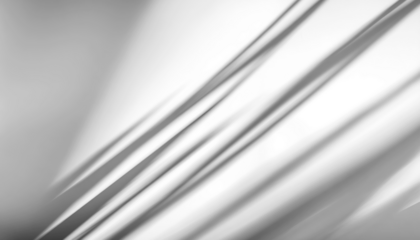 Plant leaves shadows on a wall isolated PNG cutout, transparent background