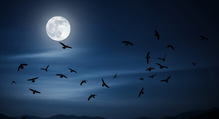 moonlit night sky with silhouettes of birds migrating, calm, dark blue aesthetic