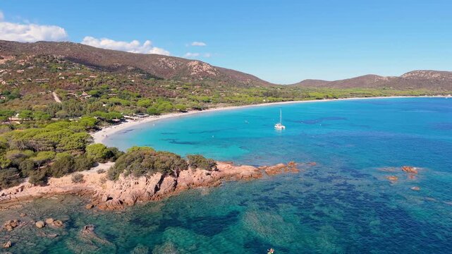 sunny corsican scenic panorama, serene turquoise waters with lush pinecovered headlands visible. France