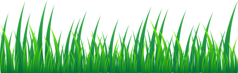 Grass Illustration