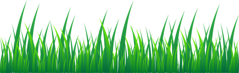 Grass Illustration