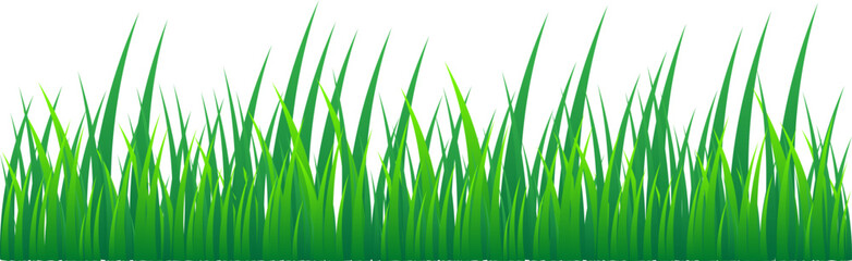 Fototapeta premium Grass Illustration