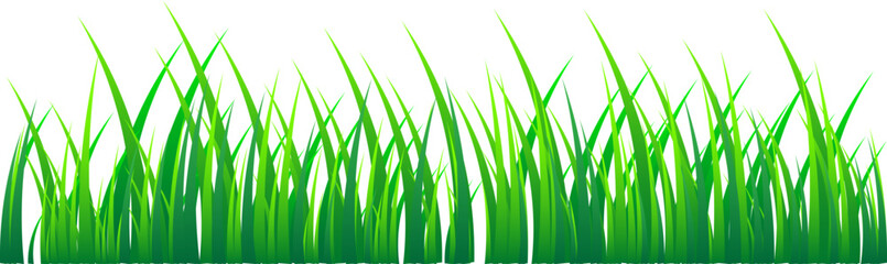 Grass Illustration
