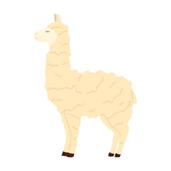 Naklejka premium Adorable fluffy llama standing isolated on white background, perfect for Argentina themed designs vector illustration