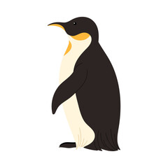Fototapeta premium Side view of an isolated emperor penguin representing Argentina wildlife on a white background vector illustration