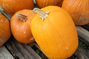 Close-up of a group of orange pumpkins resting on a rustic wooden surface, emphasizing fall textures and color.