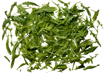Arugula leaves on a transparent background