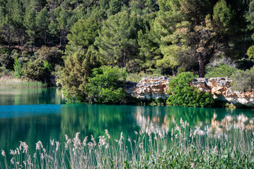 Beautiful view of landscape reflected on the water of a lagoon surrounded by greenery and lush trees at Las Lagunas de Daimiel, Ciudad Real, Spain