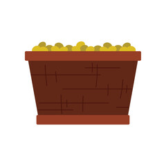 Isolated wooden basket holding green olives for olive oil production vector illustration