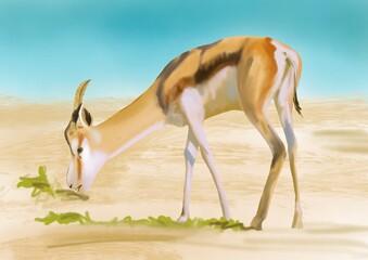  illustration of a gazelle grazing in the desert.