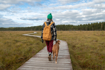 Woman guide hunting dog with tight leash and firm grip on neck strap. Magyar Vizsla control on national park wetland trail, peat bog stroll, female trekker outdoor hike, protected area pet visit