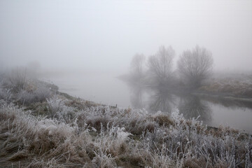Frosty hoarfrost in the fog.