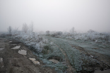 Frosty hoarfrost in the fog.