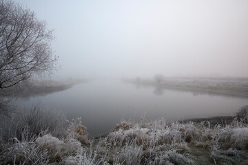 Frosty hoarfrost in the fog.