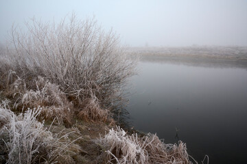 Frosty hoarfrost in the fog.