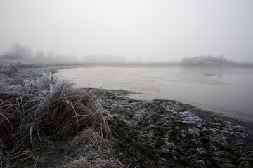 Frosty hoarfrost in the fog.