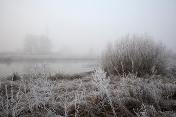 Frosty hoarfrost in the fog.