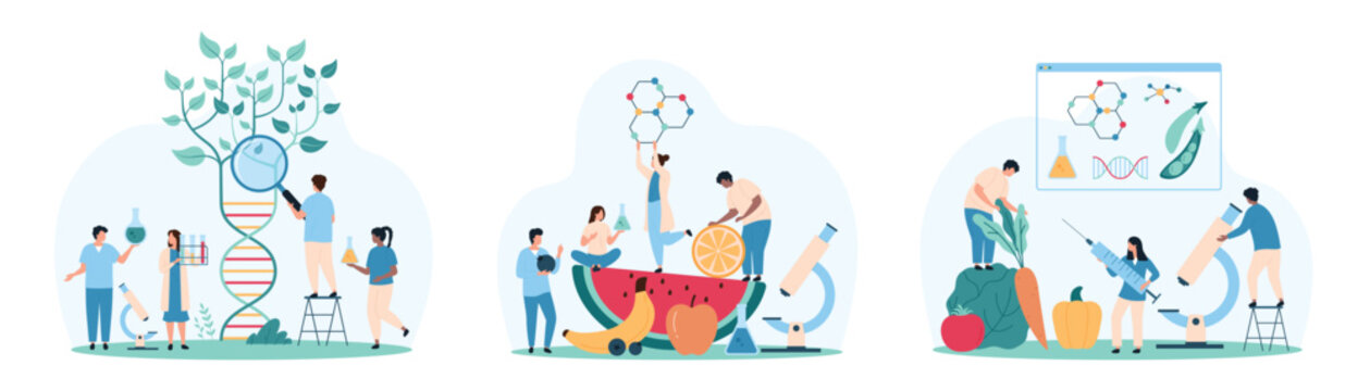 Food quality test, science analysis in laboratory set. Tiny people research safety of fruit and vegetables with lab microscope, holding chemical molecule and flask cartoon vector illustration