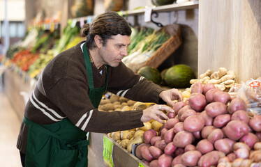 Adult man seller in apron puts potatoes on display in vegetable shop
