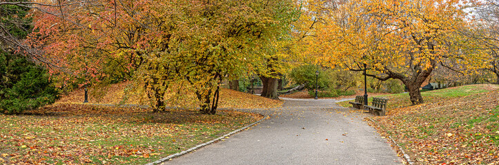 Naklejka premium Autumn in Central Park
