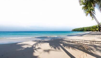 tranquil sandy beach with shadows cast by tall coconut trees evoking a sense of relaxation and paradise isolated on a white background