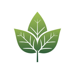 Stylized green leaf icon with vein detail a symbol of nature and growth