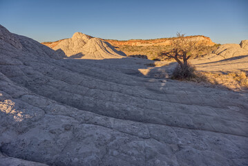 White Pocket on the Paria Plateau AZ