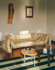 modern apartment living room interior with striped carpet retro style © Yulia