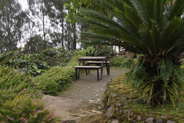 Tranquil outdoor seating area nestled amidst lush green foliage, offering a peaceful escape in a beautiful garden park setting, perfect for relaxation and quiet moments