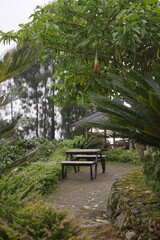 Tranquil outdoor seating area nestled amidst lush green foliage and winding paths, offering a serene escape in a natural garden setting, perfect for relaxation and contemplation