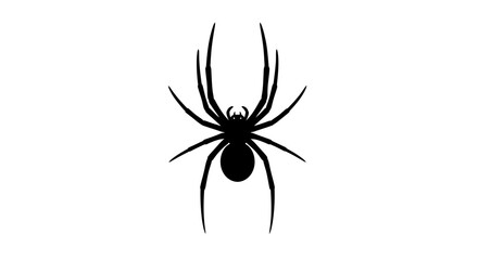 Silhouette of a black spider with eight legs, isolated on a white background, representing arachnids