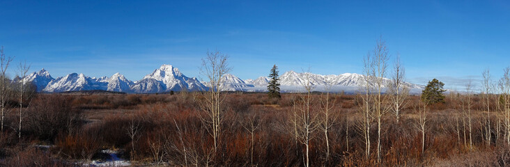 View of the Tetons from the Meadow