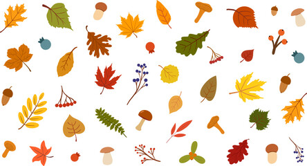 Autumn leaves berries mushrooms set drawn by hand colorful background vector illustration